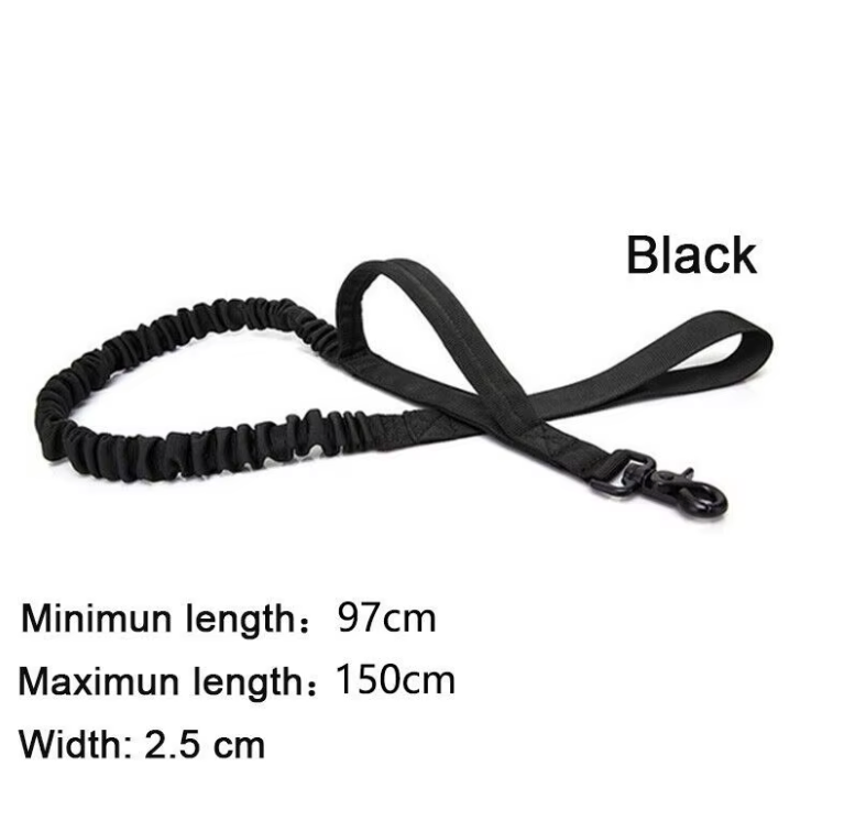 DOG COLLAR & LEASH