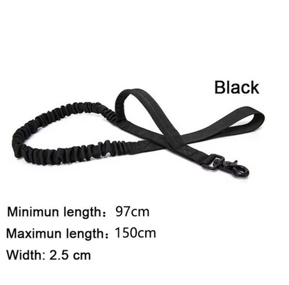 DOG COLLAR & LEASH