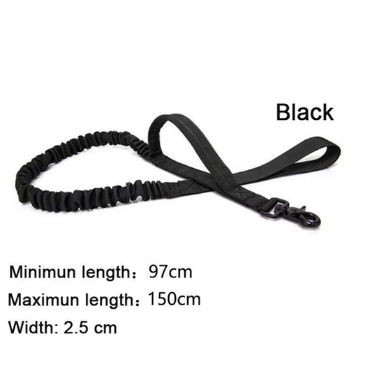 DOG COLLAR & LEASH