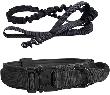 DOG COLLAR & LEASH