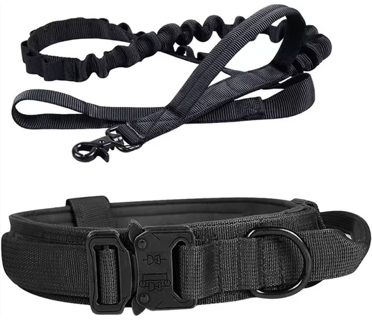 DOG COLLAR & LEASH